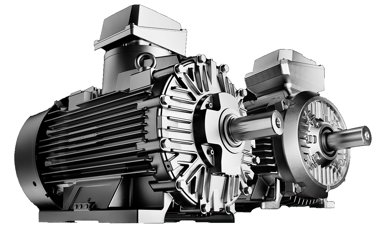 Explosion-proof Motor